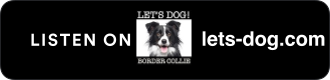 Die richtige Auslastung meines Border Collies - Podcast Episode 007 online
