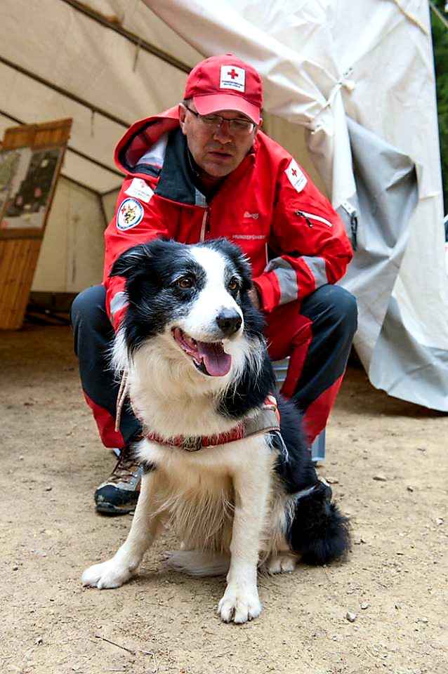 Der Border Collie als Rettungshund - Podcast Interview